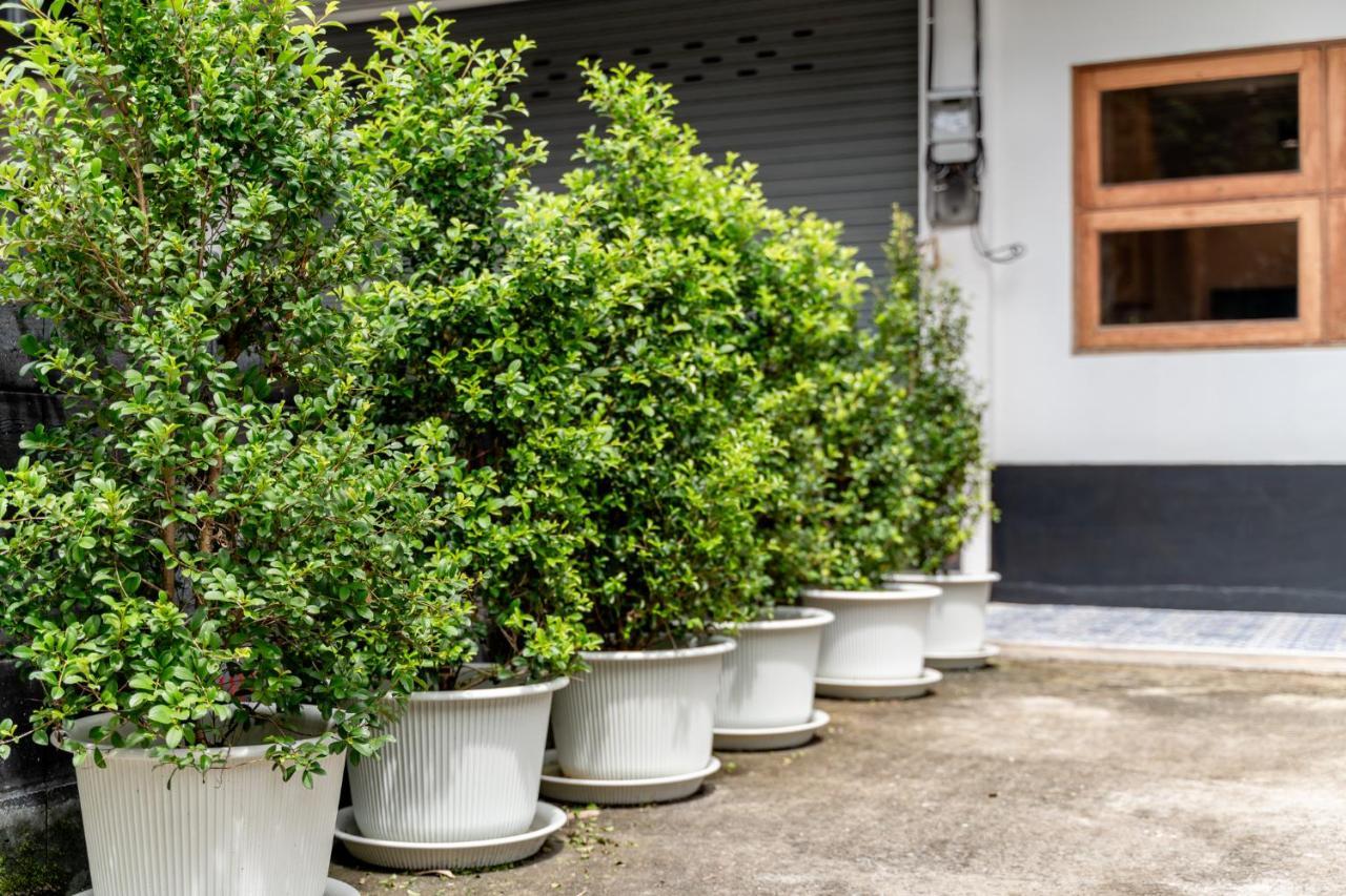 Socialer Coliving & Coworking Space Chiang Mai Exteriör bild
